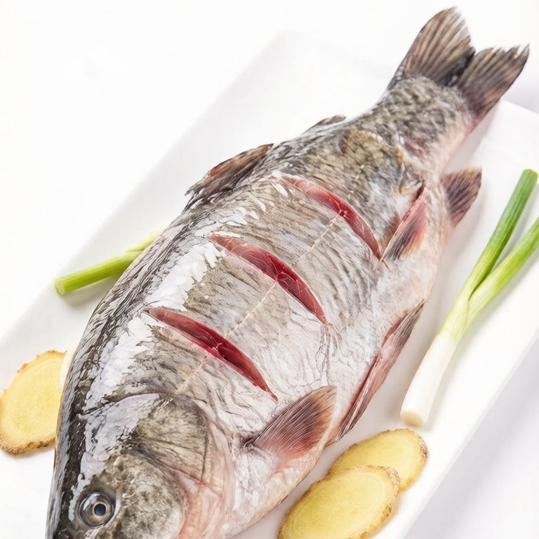 Raw scored carp on a white plate with ginger and scallion